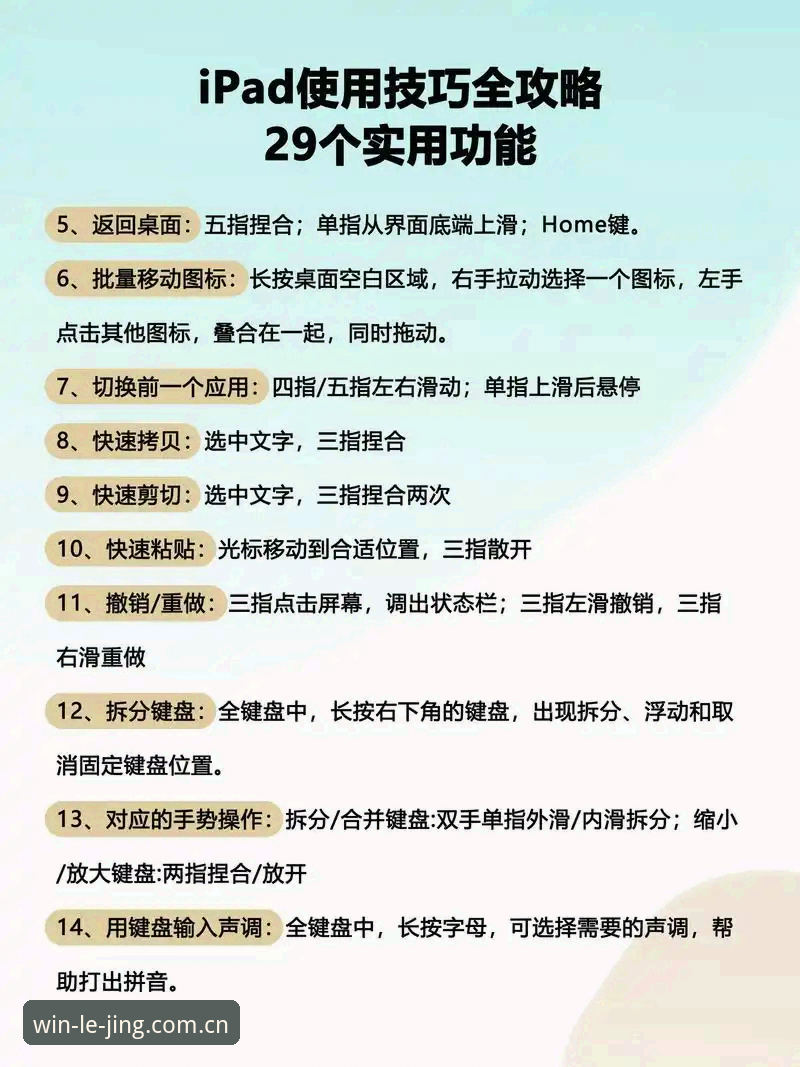 乐竞体育使用教程怎么样 乐竞体育平台使用体验全面评测:从入门到精通的操作深度解析